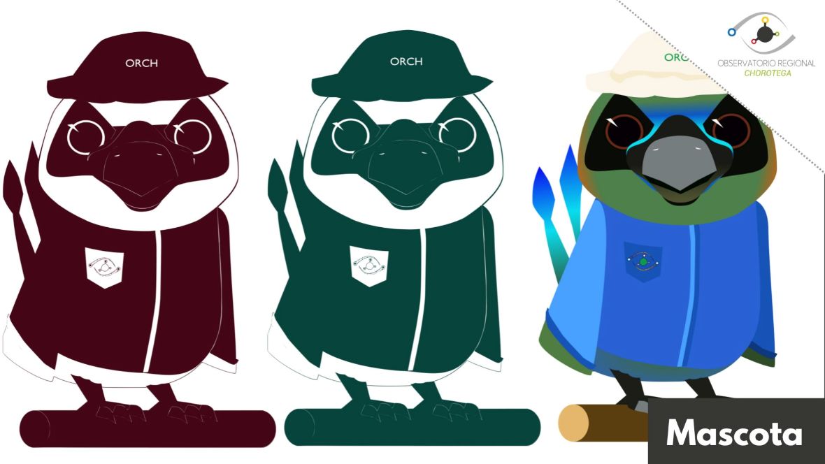 La imagen muestra tres ilustraciones de un ave estilizada, cada una con diferentes colores y detalles. 


La primera ave, a la izquierda, es de color burdeos oscuro. Lleva un sombrero del mismo color con la inscripción [ORCH] en blanco. Sus ojos son grandes y redondos, con un contorno blanco. Tiene un pico prominente y viste una chaqueta burdeos con un emblema en el pecho que parece ser un logotipo. Está posada sobre un tronco del mismo color burdeos.


La segunda ave, en el centro, es de color verde oscuro. También lleva un sombrero verde con la inscripción [ORCH] en blanco. Sus ojos son similares a los de la primera ave, grandes y redondos con un contorno blanco. El pico es igual de prominente y lleva una chaqueta verde con un emblema en el pecho. Está posada sobre un tronco verde oscuro.


La tercera ave, a la derecha, es más colorida. Tiene un sombrero blanco con la inscripción [ORCH] en verde. Su cara es de tonos verdes y azules, con ojos grandes y redondos de color negro con un contorno rojo. El pico es gris oscuro. Lleva una chaqueta azul con un emblema en el pecho. Su cola tiene plumas de color azul brillante. Está posada sobre un tronco marrón claro. 


En la esquina superior derecha de la imagen, hay un logotipo que dice [OBSERVATORIO REGIONAL CHOROTEGA] con un diseño circular que incluye líneas y puntos de colores. En la esquina inferior derecha, hay un recuadro negro con la palabra [Mascota] en blanco.